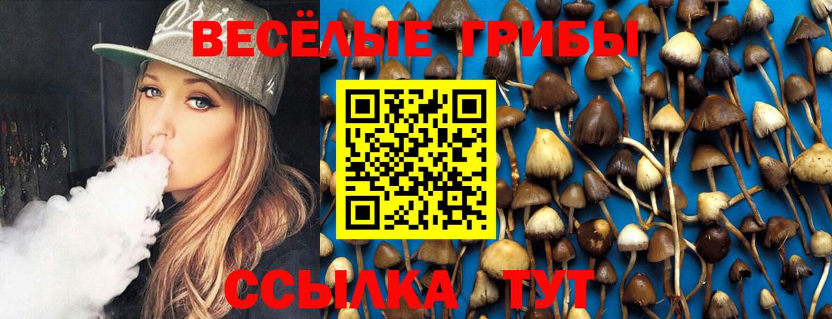 Галлюциногенные грибы MAGIC MUSHROOMS Орск