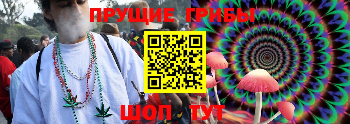 Псилоцибиновые грибы мицелий  Вход с VPN  Орск  Галлюциногенные грибы Magic Shrooms 